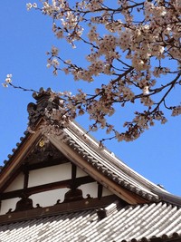 人にもペットにも優しいお寺紹介